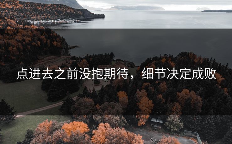 点进去之前没抱期待，细节决定成败