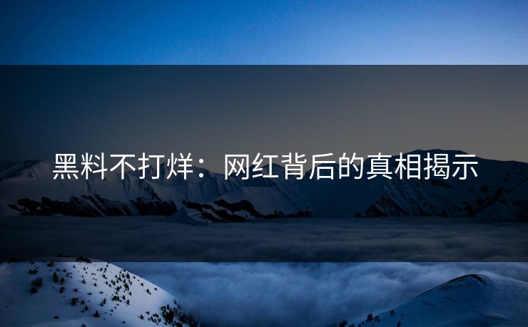 黑料不打烊：网红背后的真相揭示