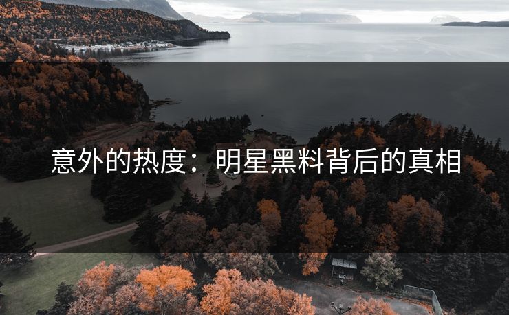 意外的热度：明星黑料背后的真相