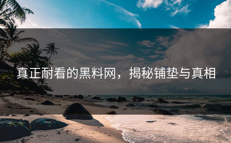 真正耐看的黑料网，揭秘铺垫与真相