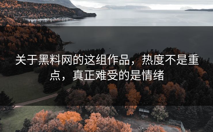 关于黑料网的这组作品，热度不是重点，真正难受的是情绪