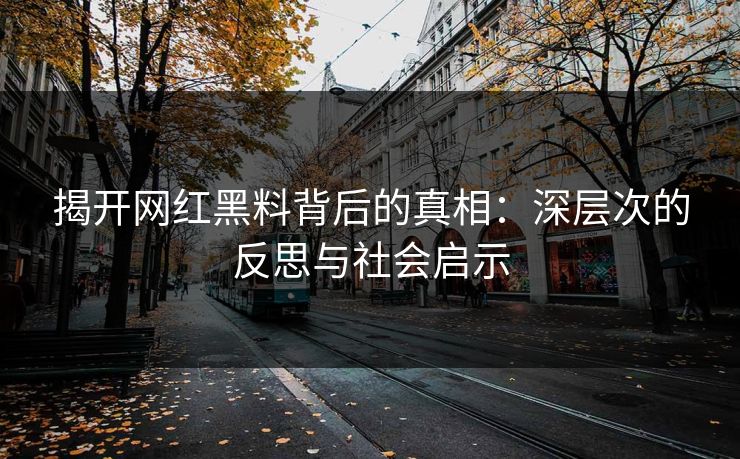 揭开网红黑料背后的真相：深层次的反思与社会启示