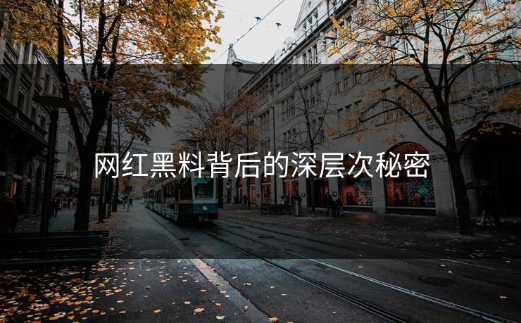 网红黑料背后的深层次秘密