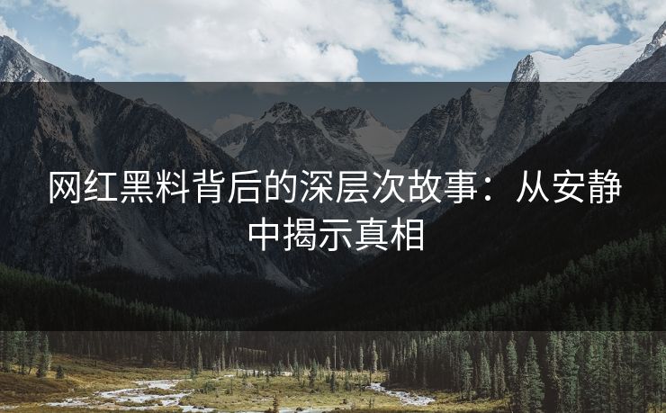 网红黑料背后的深层次故事：从安静中揭示真相